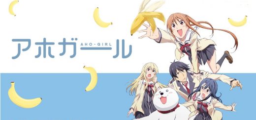 cover aho girl