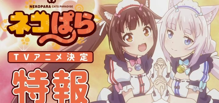 nekopara anime announced